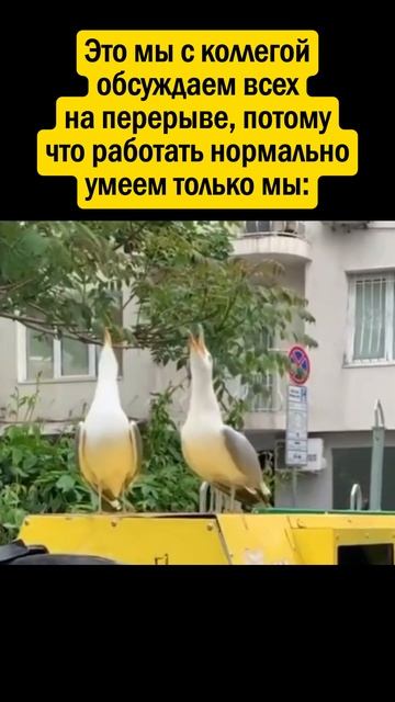 👉 ПОДПИШИСЬ - у нас весело 😁