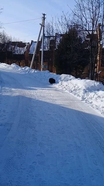 Колобок лает на меня.