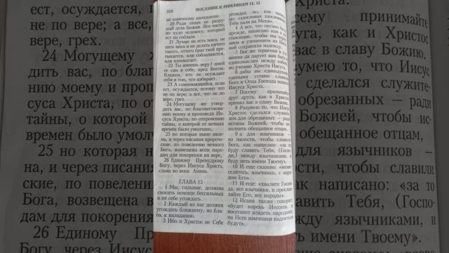 Я тоже хотела идти на войну а чё я  лысая что-ли?
