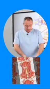 Если немеют руки 🤌