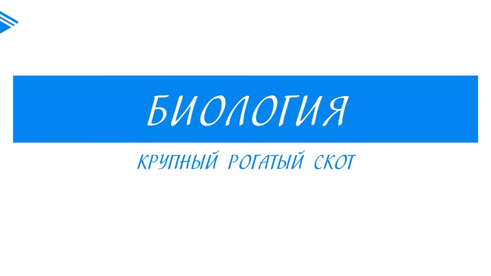 7 класс - Биология - Крупный рогатый скот