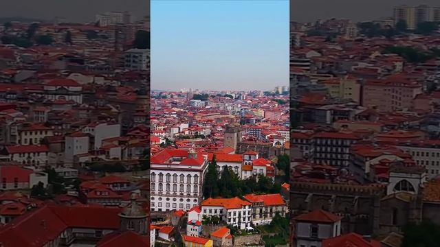 Жизнь как есть