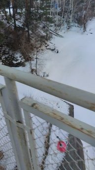 Катунь и льды!