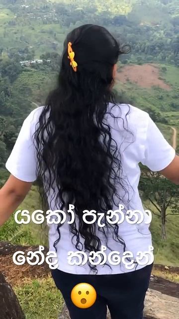යකෝ පැන්නා නේද කන්දෙන් පල්ලට මේකී 😬😮😳