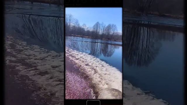 Воже апрель 2024