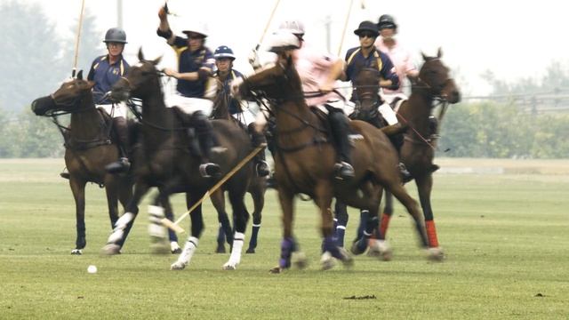 The Canadian Open - Calgary Polo Club