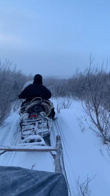 Путешествие в большеземельскую тундру. 2024 год