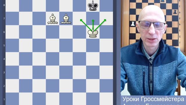 Мат двумя слонами