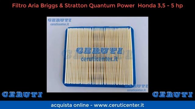 Filtro Aria per motori Briggs&Stratton e Honda - 12036