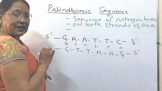 Biotechnology made easy/Palindromic sequence/ Biotechnology principles &Proce/Class12/NEET@BIORATNA