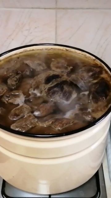 Варка мяса лося на холодец.