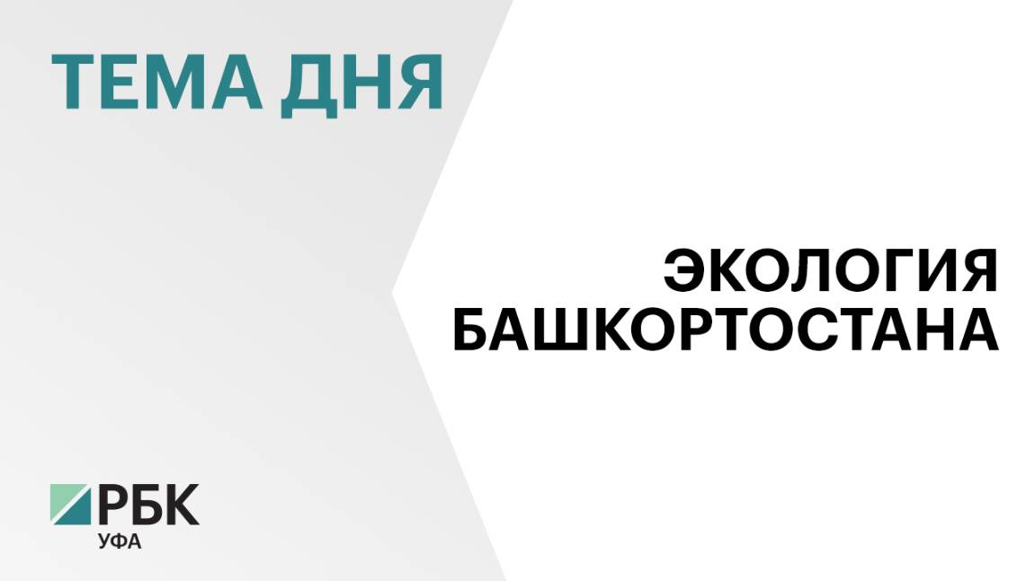 В 2024 г. на реализацию госпрограммы «Экология и природные ресурсы Башкортостана» направили ₽850 млн