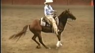 Wildwood Soul O Silk West Coast Classic Freestyle