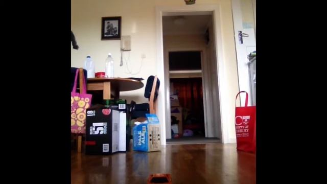 Some Raw Scooter Tricks And A 1:24 Scale Rc Lamborghini