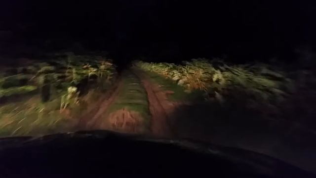 How i almost F**ked a skoda yeti