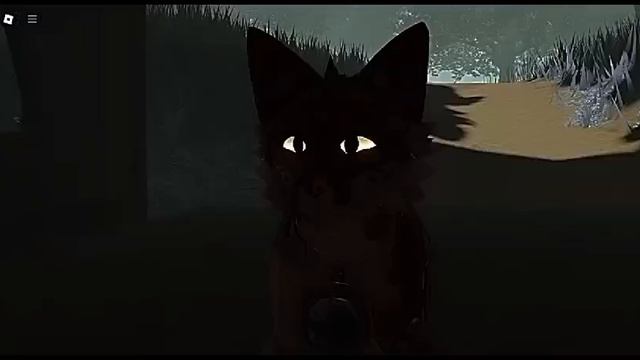 VID-20250215-WA0133.mp4