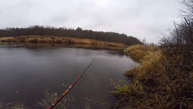 Ловили на все))) Уклейка и царь водоема на поплавочную удочку