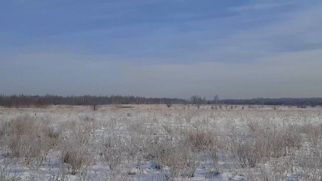 27-02-2025 ранняя прогулка. последние зимние денечки. все в серебре. очень красиво