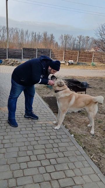 Хорошо