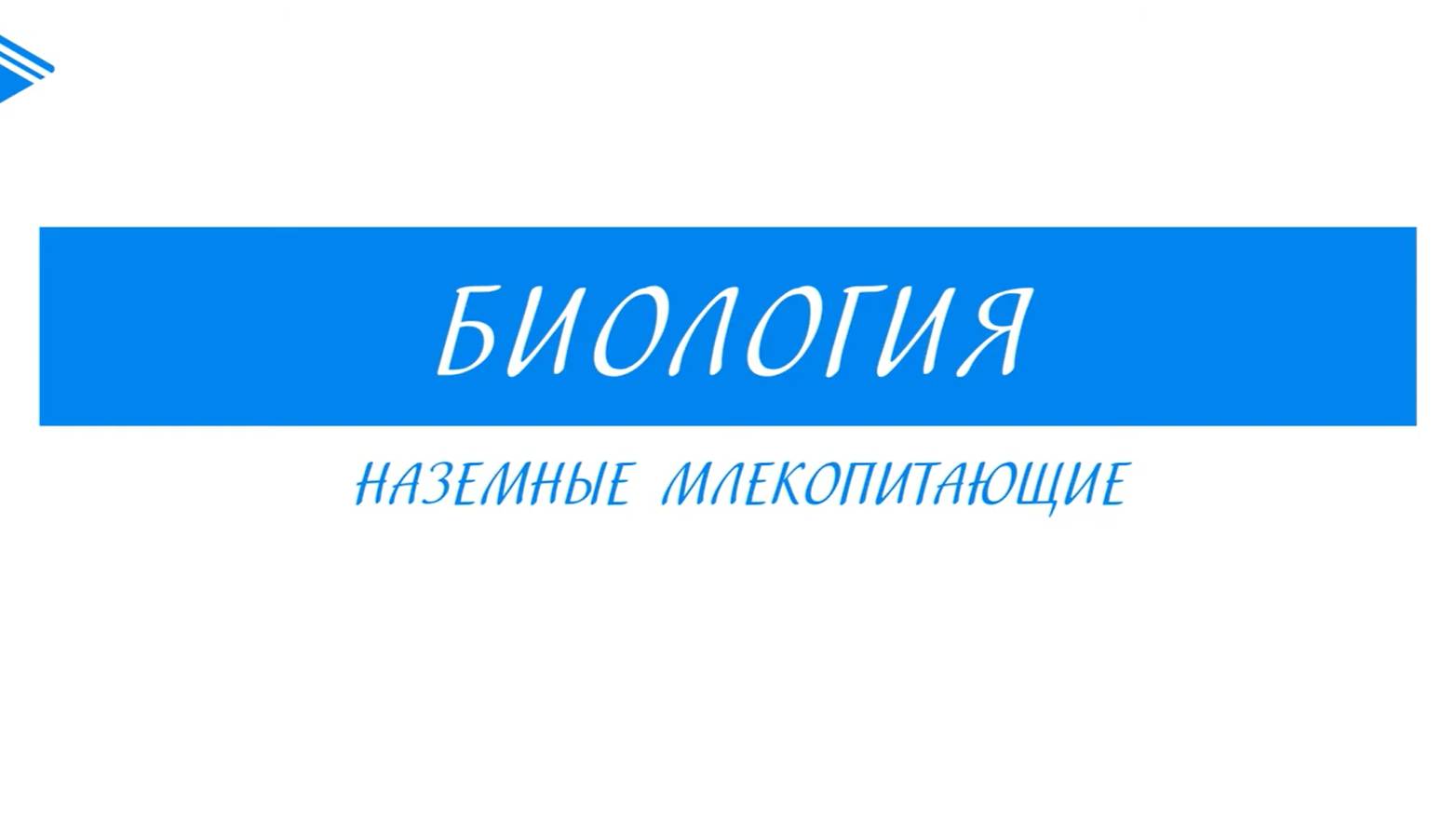 7 класс - Биология - Наземные млекопитающие