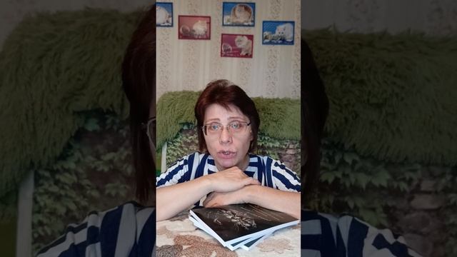 Кошка ходит мимо лотка или гадит по дому