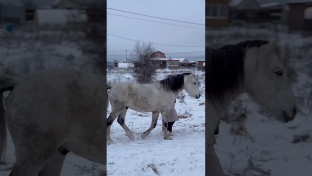 Занятие на свободе. Следование. С Фаиром Марьяна и Александра.