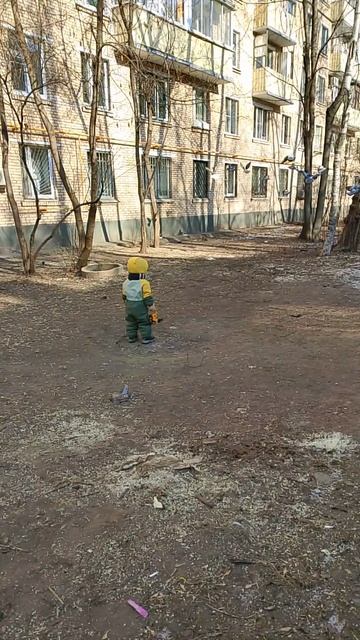 любовь и голуби