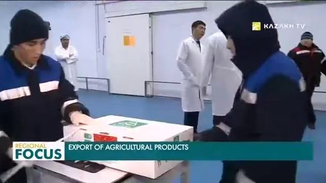 Казахстан наращивает экспорт сельхозпродукции