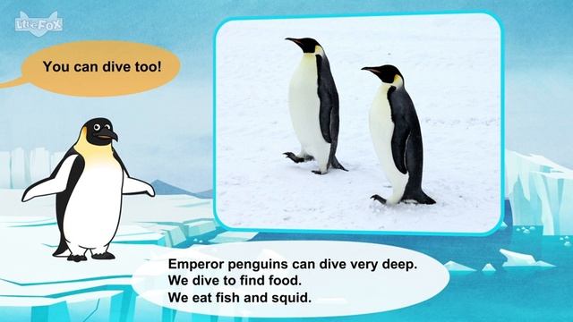 33. Meet the Animals  Emperor Penguin  Birds  Stories for Kindergarten