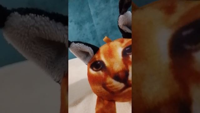 1000002759.mp4