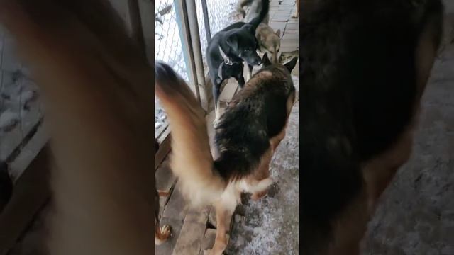 Наши ребятишки 🥰🥰🥰