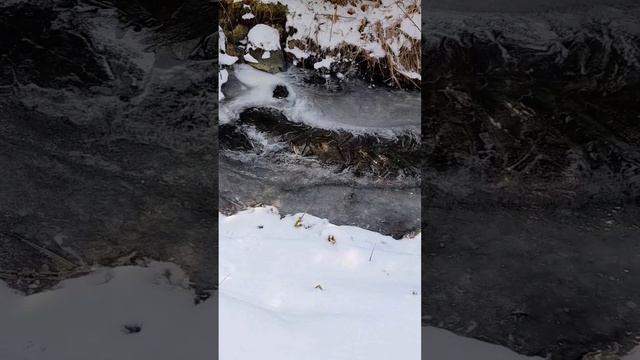 Два шага' до  весны..Сторонка Родная..