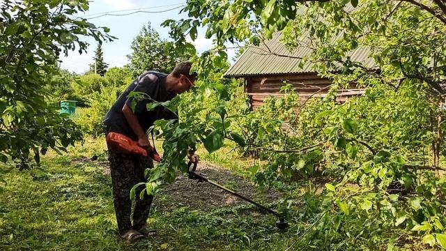 Моя постоянная дачная работа №1!