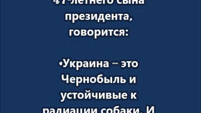 «Украина – это Чернобыль и устойчивые к радиации собаки»: сын Трампа или нейросеть?