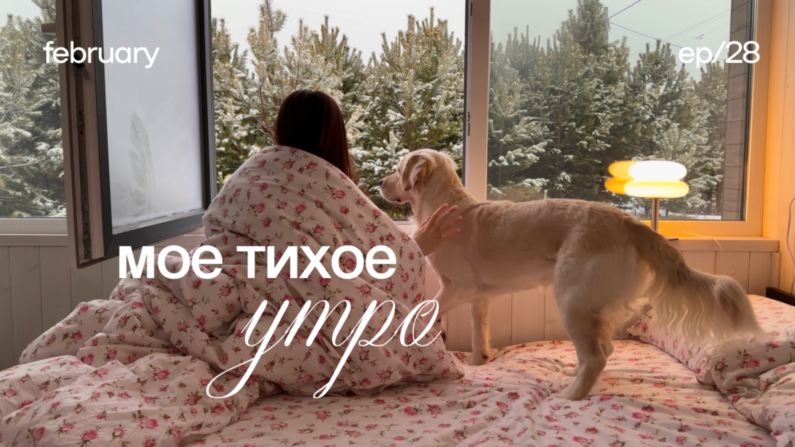 Мое утро ⛅️ тихое утро, уход за кожей, утренние ритуалы и домашний уют