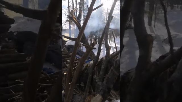 Зимний костер и подготовка дров к ночи.