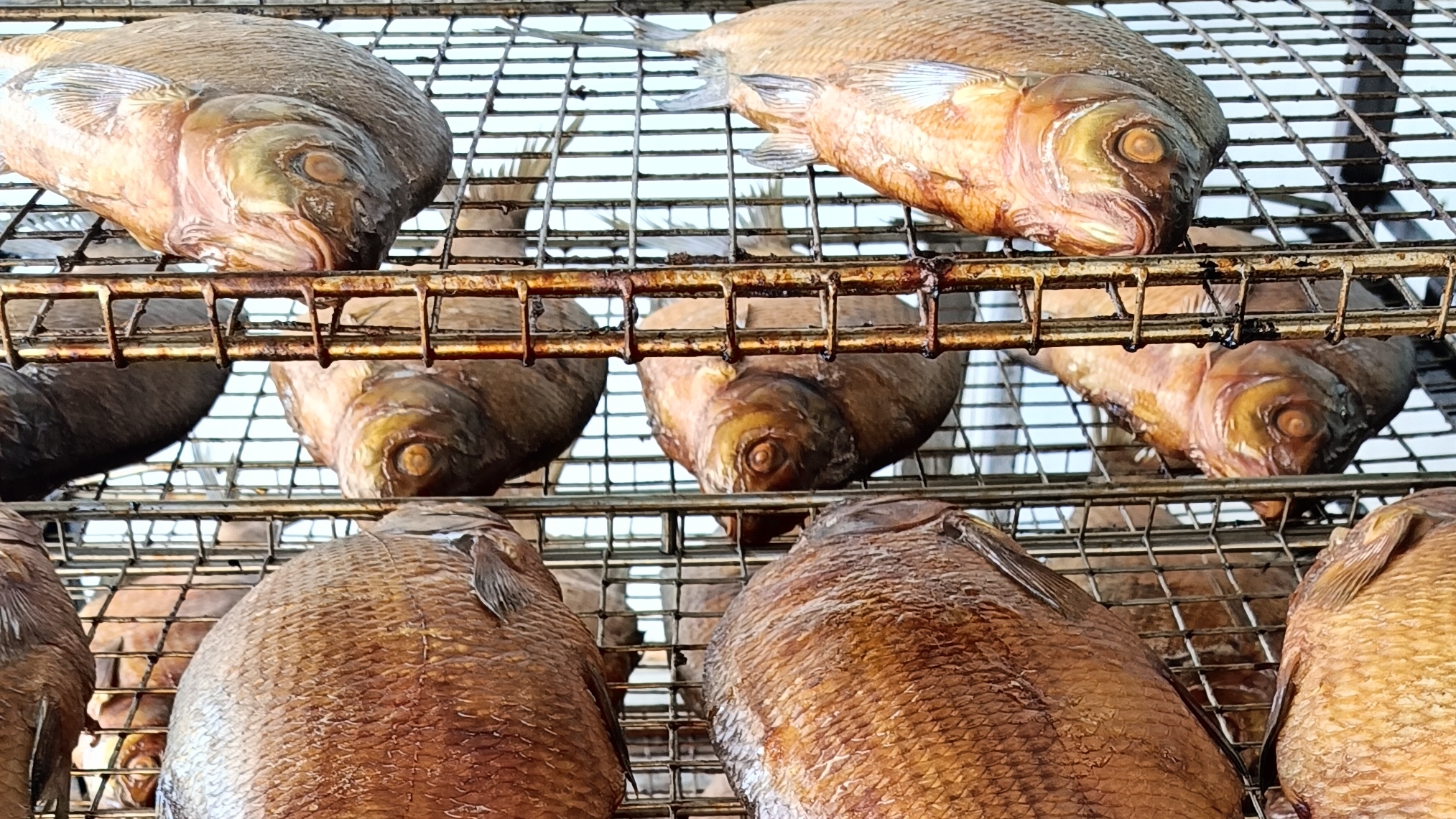 Кулешовка Рыба Мира Ассортимент магазина, цены. Азовская 9