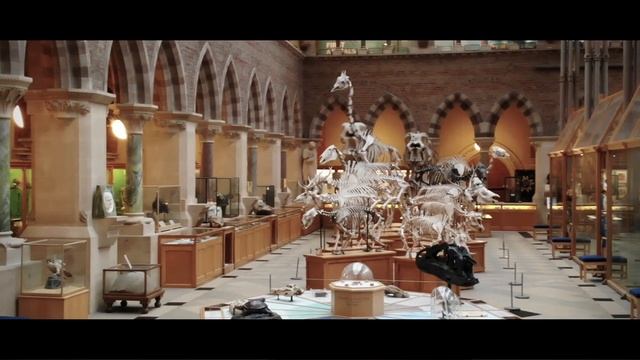 Landmark £80m donation from the Reuben Foundation