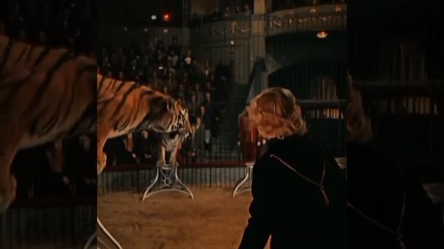 х/ф "Укротительница тигров" 🔥🐯  #советскиефильмы #shorts