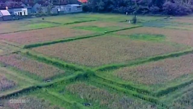 Eachine e708 + Sq11 mini camera test flight. Bali village and ricefield footage