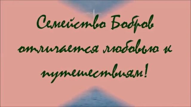 фильм про Бобров Рудякпродакшн
