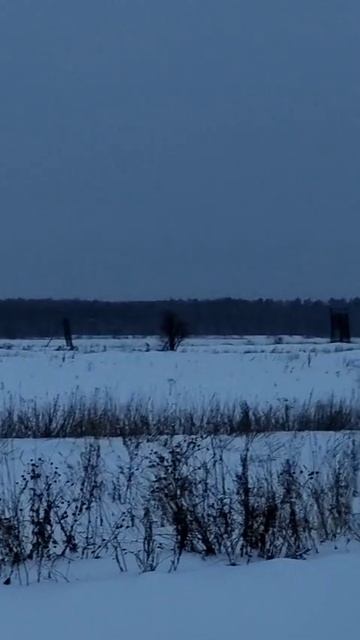 3 Мост через Енисей Зимняя тайга