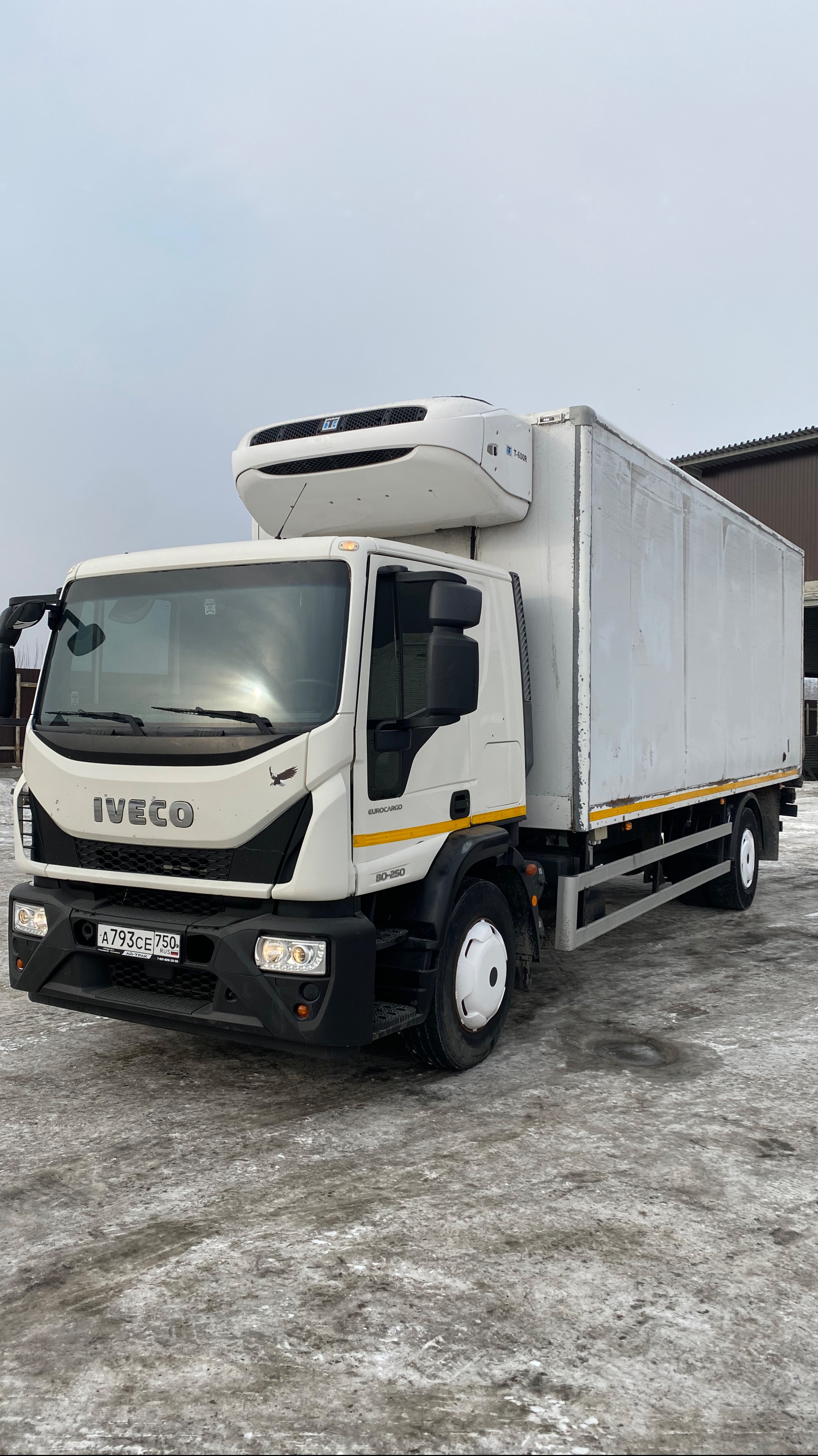 В продаже IVECO EUROCARGO Рефрежератор