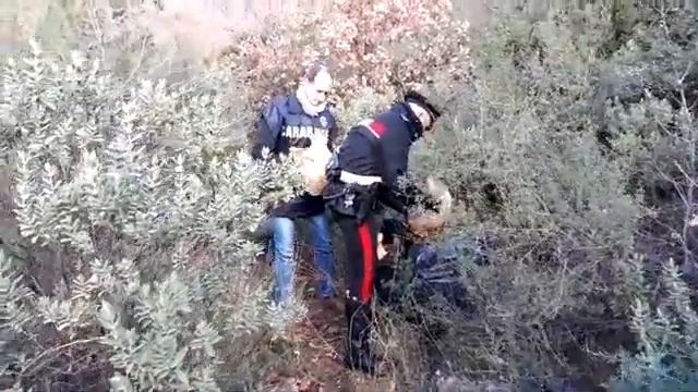 Operazione "Green Country" dei carabinieri della compagnia di Alassio (parte 4)