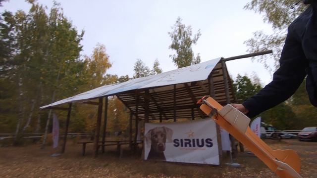 Хаски