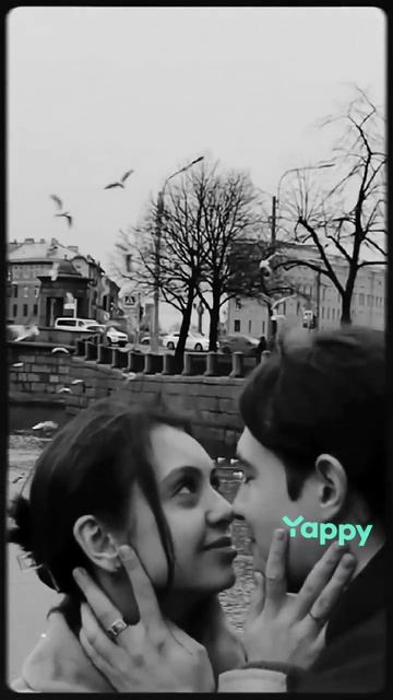 yappy_download_1d635bac73924763bfc7382b4e8a087d.mp4