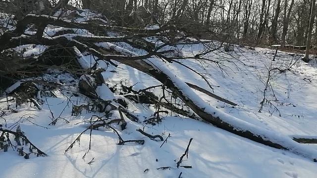 26.02.2025.Усадьба Парк Кино Ляхово. Парк Кошек. Домодедово.Каскады прудов Усадьбы. Центр верхнего п