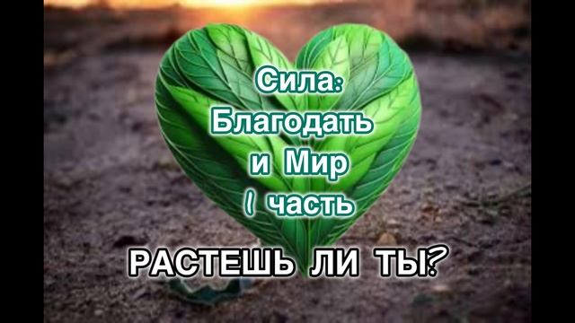 Сила духовного роста.
Благодать и Мир.