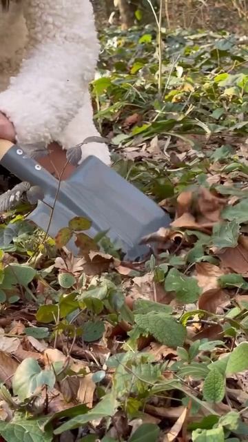 Девушки дарите с воим любимым парням дорогие машины, носки уже не в моде😆😆😆😅