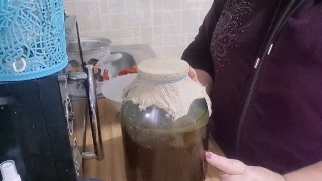 Чайный гриб, готовим вкусный напиток!